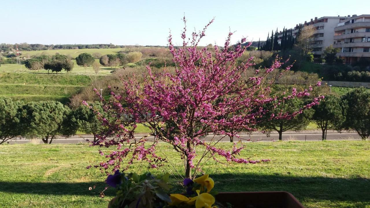 B&B Colline Verdi Vitinia Kültér fotó